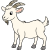 Cambuktoto